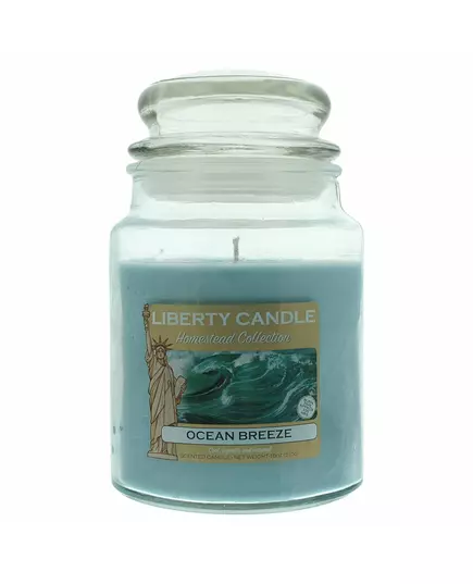Liberty Candle Ocean Breeze Cool Bougie parfumée, 510 g