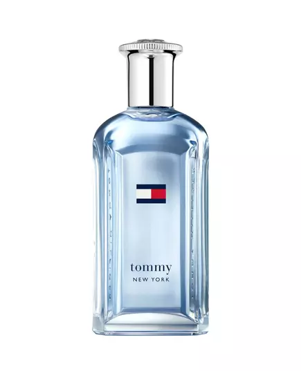 Tommy Hilfiger New York Eau de Toilette Pour hommes, 100 ml