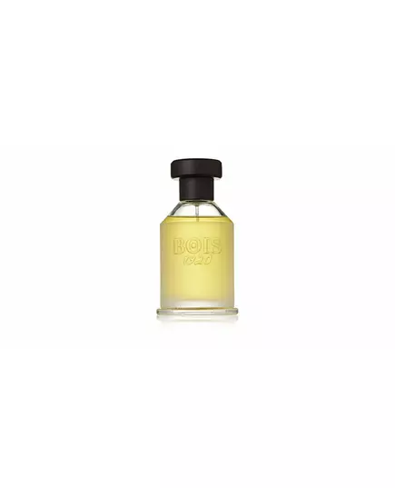 Bois 1920 Vetiver Ambrato Eau de Toilette Unisex, 100 ml