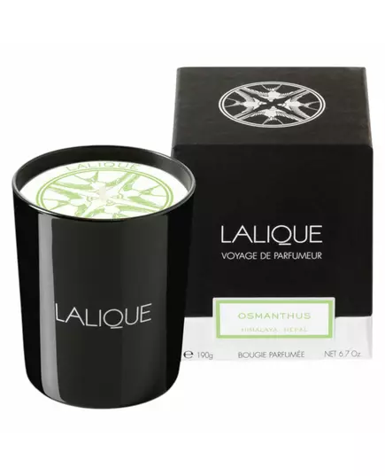 Lalique Osmanthus Himalaya Nepal Duftblüte Duftkerze, 190 g, Bild 2