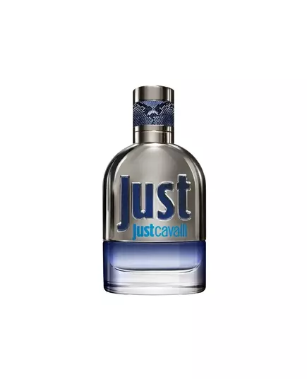 Roberto Cavalli Just Cavalli Eau de Toilette für Herren, 30 ml