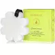 Spongelle Boxed White Flower Kokosnuss-Eisenkraut 1pc