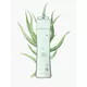 True-Keratin Bio Care Pflegende Pflegespülung 250ml, Bild 2