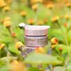Jurlique Nutri Define Supreme Eye Contour baume 15ml, image 2