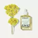 Payot Herbier Immortelle Schönheitsöl 30 ml, Bild 3