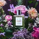 Eight & Bob Annicke 2 Eau de Parfum 100ml, image 3