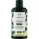 The Body Shop Après-shampooing Moringa 250ml