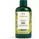 The Body Shop Duschgel Olive 250ml