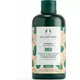 Shea Shampoo von The Body Shop 250 ml