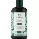 The Body Shop Après-shampooing à l'arbre à thé 250ml