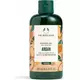 The Body Shop Argan Duschgel 250ml