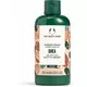 The Body Shop Shea Duschgel 250ml
