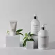 Acca Kappa Jasmine & Water Lily bain et gel douche 500ml, image 3