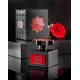 Kajal The Warde Kollektion Joorie Eau De Parfum 100 ml, Bild 3