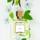 Dusita Cavatina Eau de Parfum 50ml, Bild 3