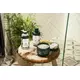 The Body Shop Après-shampoing au karité 250ml, image 3