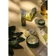 The Body Shop Hanf Fußschutzcreme 100ml, Bild 3