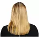 REDKEN Extreme Anti-Snap Behandlung 250 ml, Bild 5