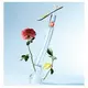 Eau de Toilette Kenzo Flower von Kenzo 30 ml, Bild 4