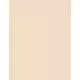 Revlon PhotoReady Candid Anti-pollution Poudre fixante libre 001, 15 g, image 2