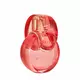 Bvlgari Omnia Coral Eau de Toilette Für Frauen, 100 ml