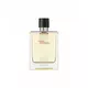 Hermes Terre d'Hermes Flacon H Limited Edition Eau de Toilette Für Männer, 100 ml