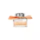 Chloe Rose Tangerine Eau de Toilette Für Frauen, 30 ml