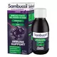 Sambucol Immuno Forte Zuckerfrei schwarze Holunderbeere Vitamin C und Zink Unterstützen Sie das Immunsystem Sirup, 120 ml, Bild 2