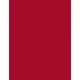 Max Factor Nailfinity Vitamin E Glanzfinish Nagellack 300 Ruby Tuesday, 12 ml, Bild 3