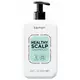 Kemon Healthy Scalp Shampooing traitement capillaire Antipelliculaire Pour tous types de cheveux, 1000 ml